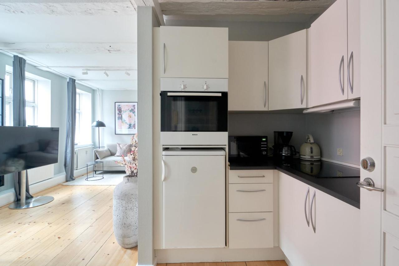 Cozy Flat In By Marble Church * Copenhagen